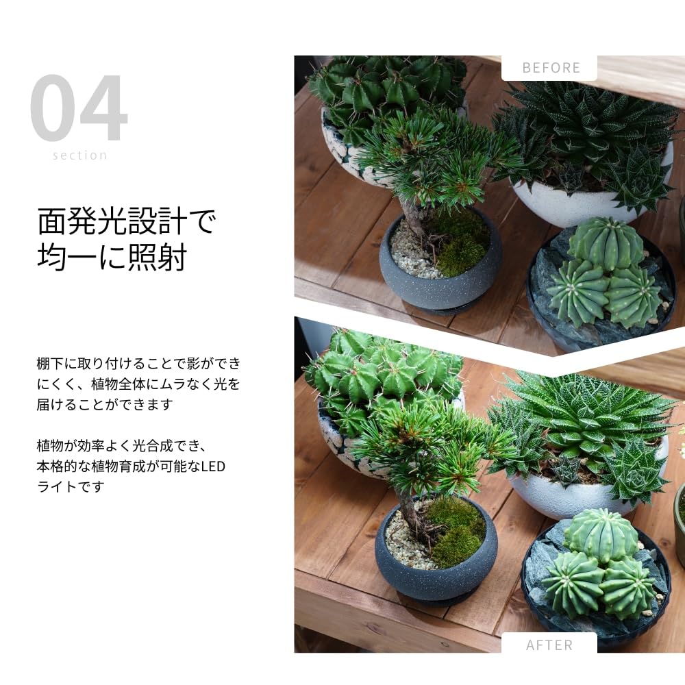Amazon.co.jp: BARREL 【SHELF GROW SLIM】 ブラック 植物育成ライト